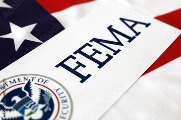 Obraz Logo FEMA