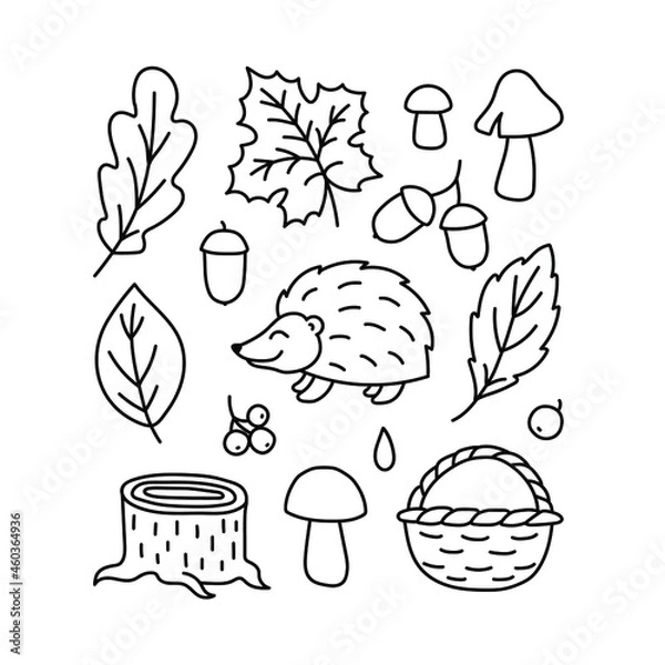 Fototapeta A set of autumn drawings. Contour image of a hedgehog, mushrooms, fallen leaves, an acorn, a basket. black drawing of autumn forest plants and animals for stickers, decor, postcards. Vector clipart