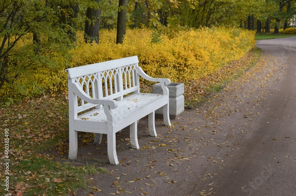 Fototapeta Park Bench