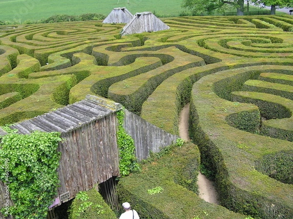 Obraz Hedge Maze