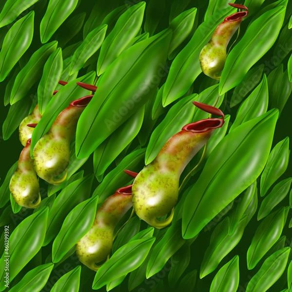 Fototapeta Pitcher plant pattern,  tropical pattern with  pitcher plant leaves.  Pitcher plant illustration tree.  Green pattern. Carnivorous plant.