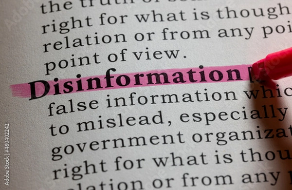 Obraz definition of disinformation
