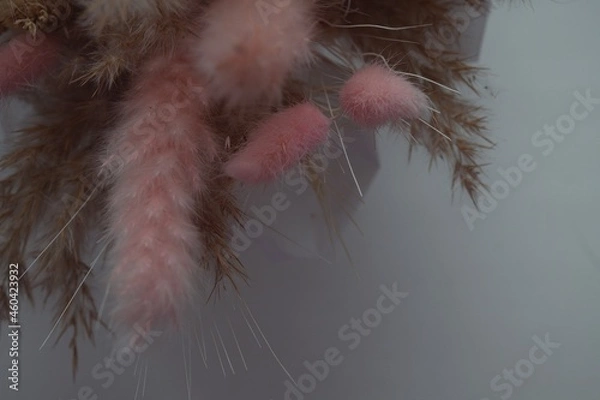 Obraz dried flowers decoration