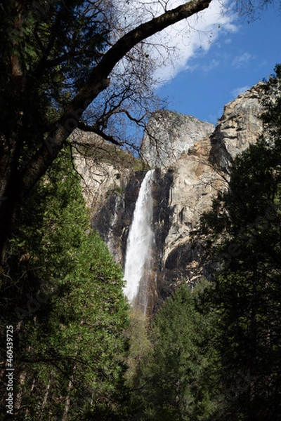 Obraz waterfall in yosemite