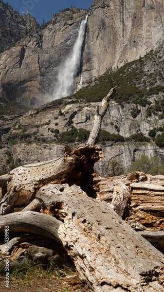 Obraz waterfall in the mountains
