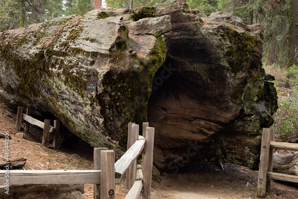 Obraz cave in the cave