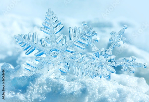 Obraz Christmas  snowflakes on snow