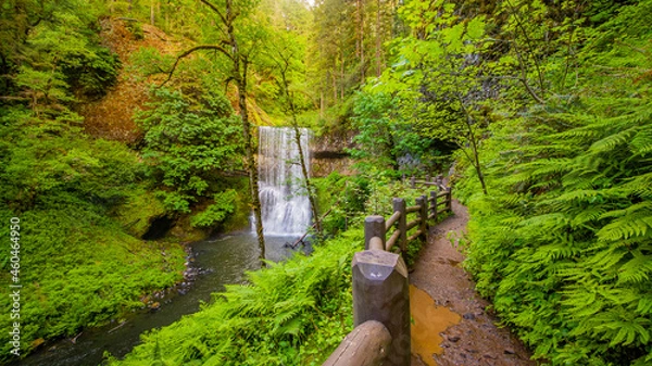 Fototapeta Waterfall in the green fairy forest. Path with wooden fence along small stream. Silver falls state park, USA