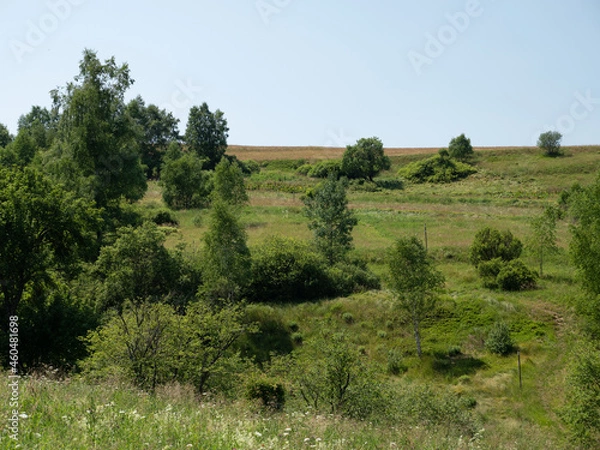 Obraz landscape with trees