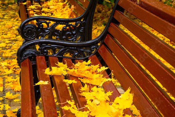 Obraz autumn bench