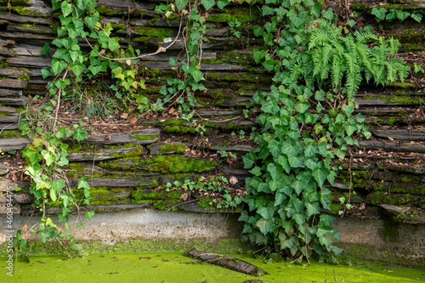 Fototapeta green stone wall