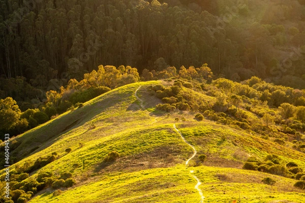 Obraz Sunlit landscape
