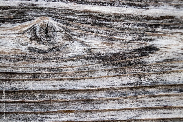 Obraz Old wood pattern