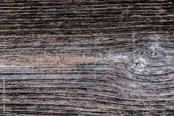 Obraz Old wood pattern
