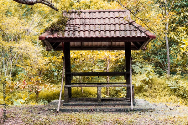Obraz Beautiful old pavilions in the spring forest.