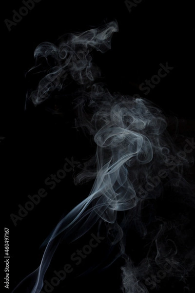 Obraz The smooth movement of white smoke on a black background, abstract things on a black background.