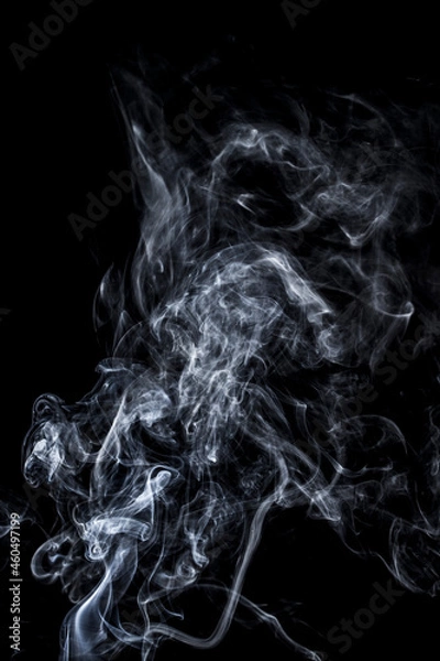 Obraz The smooth movement of white smoke on a black background, abstract things on a black background.