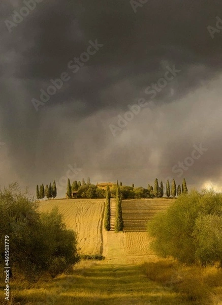 Obraz tuscany paesaggio