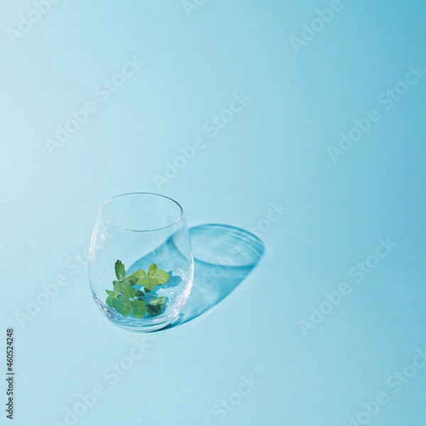 Fototapeta Empty clear glass with green mint leaf. Minimal concept on bright blue background. Quench your thirst with refreshing drink.