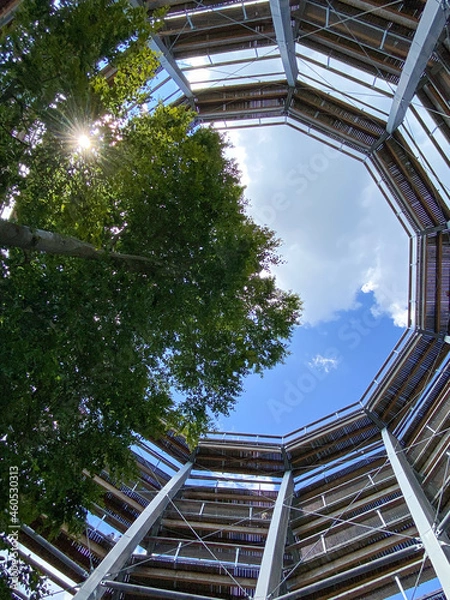 Obraz Baumwipfelpfad