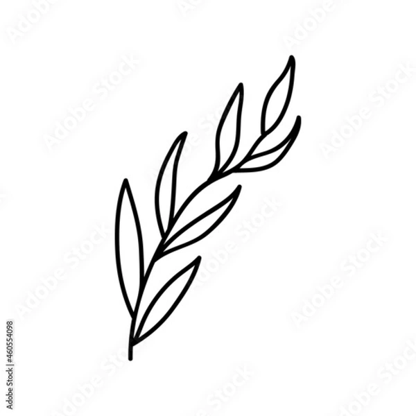 Fototapeta Single hand drawn twig. Vector illustration in doodle style. Isolate on a white background.