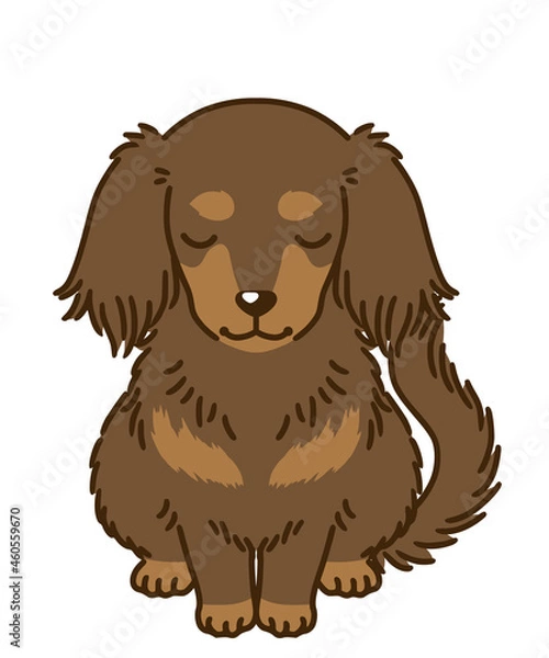 Obraz おじぎするダックスフンド（チョコタン）