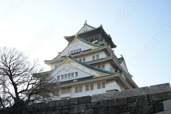 Fototapeta 大阪城