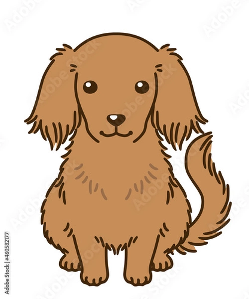 Fototapeta ダックスフンド（レッド）