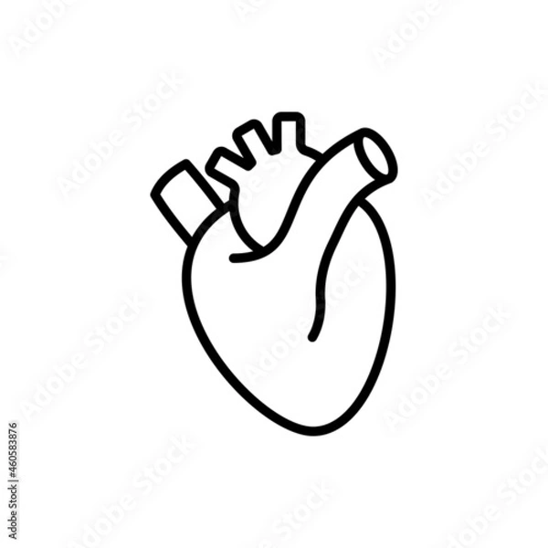 Obraz Human anatomical heart thin line icon. Modern vector illustration of human organ.