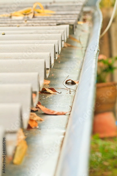 Fototapeta gutter