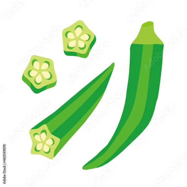 Obraz オクラのイラスト