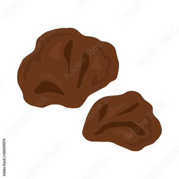 Obraz 生きくらげ（木耳）のイラスト