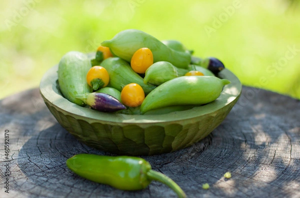 Obraz Achocha, Cyclanthera pedata. Mix of chilli. Healthy vegetables in wooden bowl on wooden log