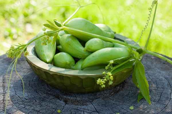 Obraz Achocha, Cyclanthera pedata. Mix of chilli. Healthy vegetables in wooden bowl on wooden log