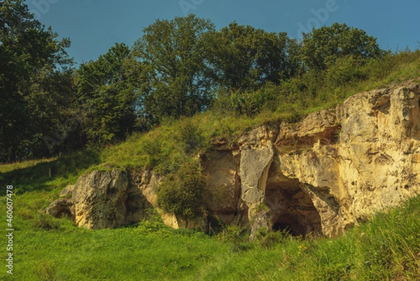 Fototapeta Marlstone rock wall overgrown with grass and trees in a sunny hilly landscape with a clear blue sky.