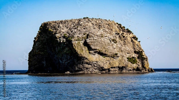 Fototapeta The island is noticeable in the Quiet Bay. Sakhalin, Russia. Sea of Okhotsk, Pacific Ocean