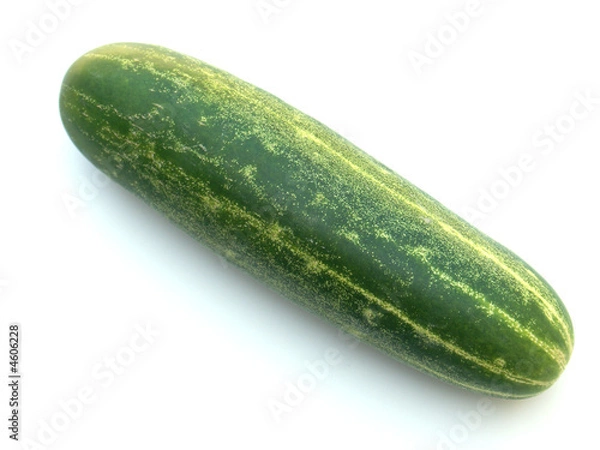 Fototapeta concombre