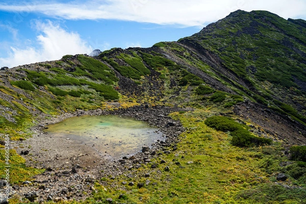 Fototapeta landscape with sky