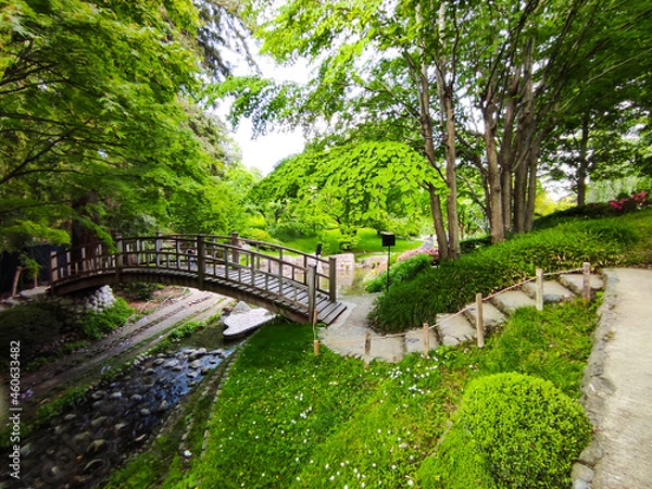 Obraz bridge in the park