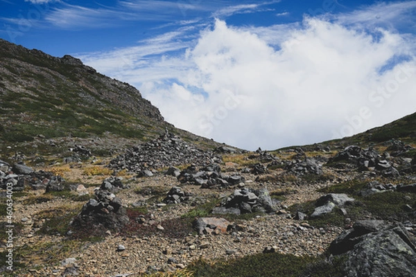 Obraz landscape with sky
