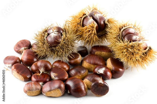 Fototapeta Chestnuts