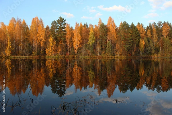 Obraz autumn trees reflected in water