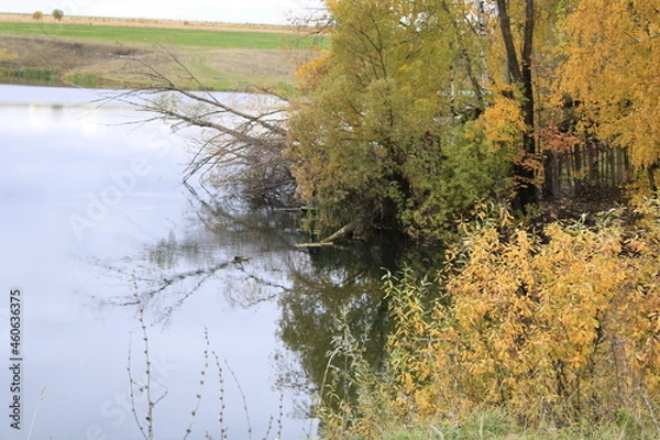 Obraz abandoned pond