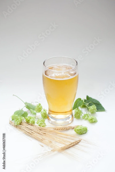 Obraz Glass of beer with hops and barley