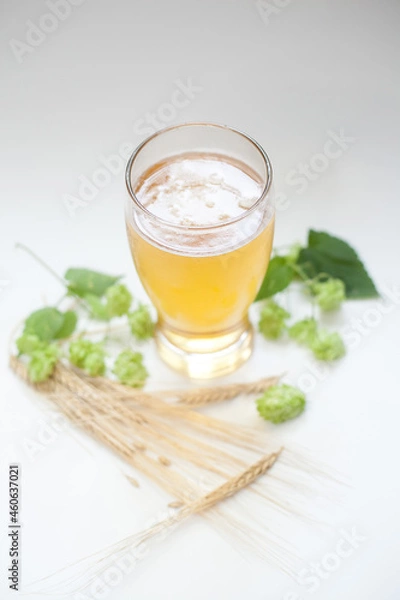 Obraz Glass of beer with hops and barley
