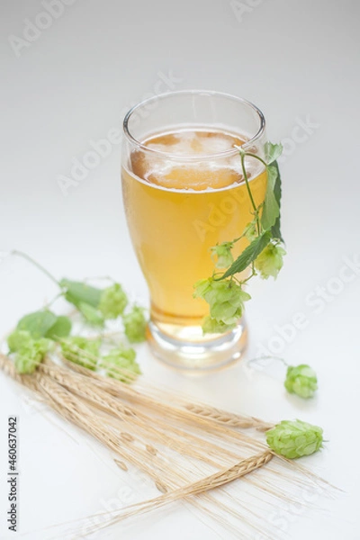 Obraz Glass of beer with hops and barley