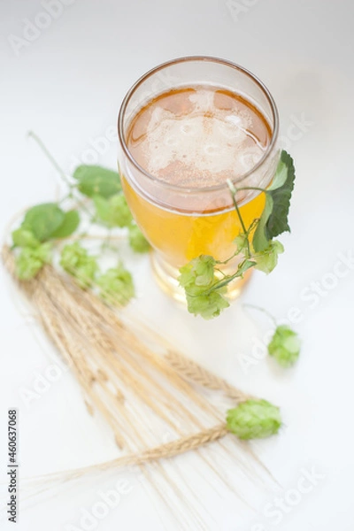 Obraz Glass of beer with hops and barley