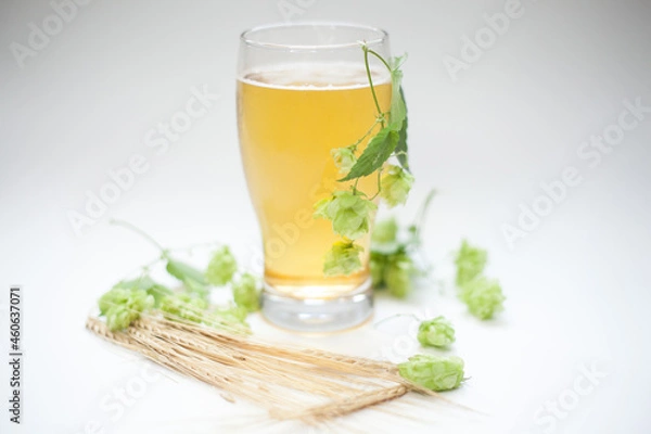 Obraz Glass of beer with hops and barley