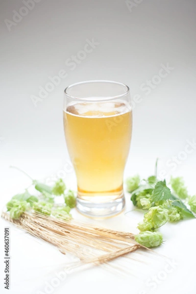 Obraz Glass of beer with hops and barley