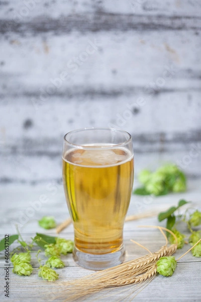 Obraz Glass of beer with hops and barley
